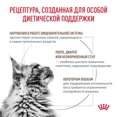 ROYAL CANIN Gastrointestinal Moderate Calorie for Cat Сухой корм для кошек, склонных к набору лишнего веса, при расстройствах пищеварения  2кг