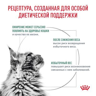 Royal Canin Satiety Weight Management Сухой корм для взрослых кошек, рекомендуемый для снижения веса 350г