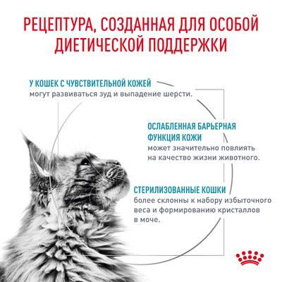 Royal Canin Skin & Coat for Cat Сухой корм для кошек для поддержания защитных функций кожи 350г