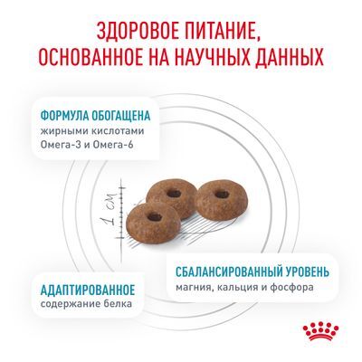 Royal Canin Skin & Coat for Cat Сухой корм для кошек для поддержания защитных функций кожи 350г