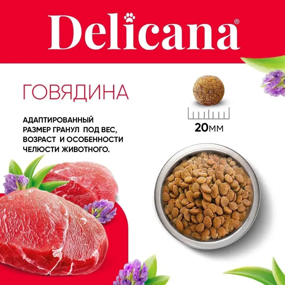 DELICANA Сухой корм для взрослых собак крупных пород Говядина 15кг