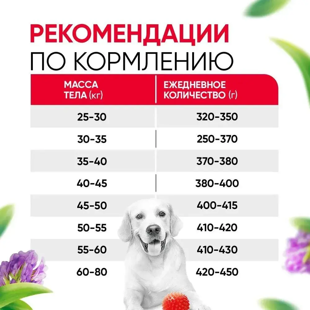 DELICANA Сухой корм для взрослых собак крупных пород Говядина 15кг