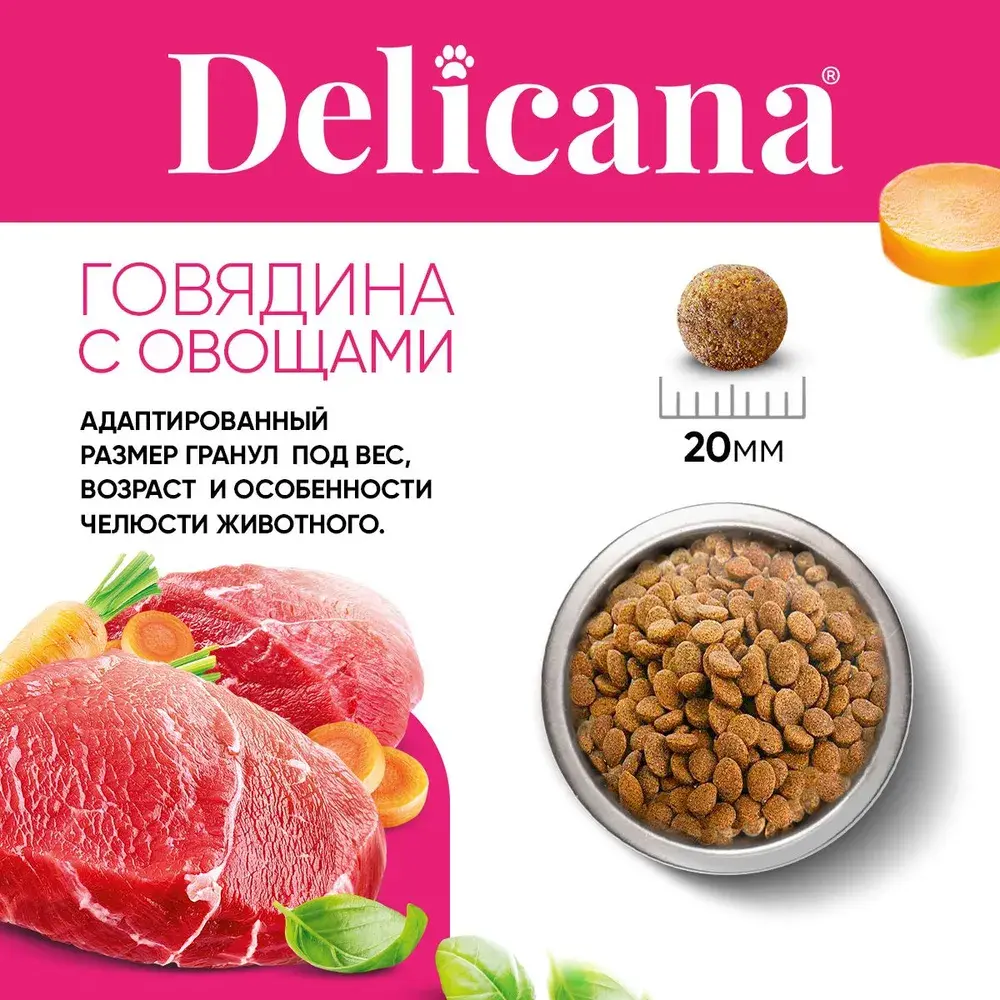 DELICANA Сухой корм для взрослых собак крупных пород Говядина с овощами 15кг