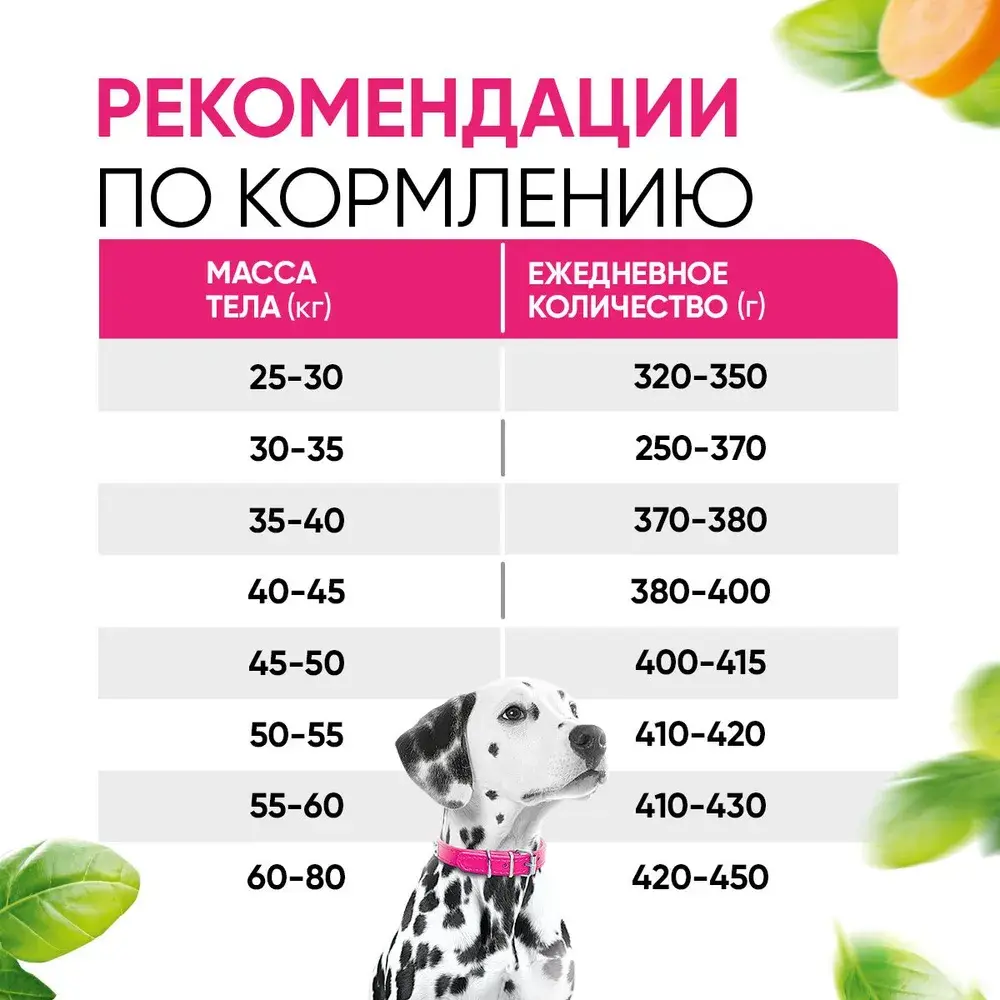 DELICANA Сухой корм для взрослых собак крупных пород Говядина с овощами 15кг
