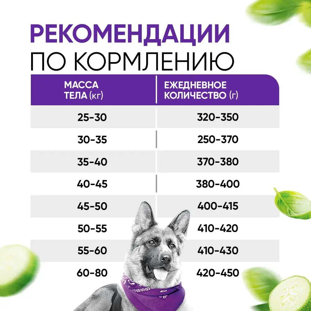 DELICANA Сухой корм для взрослых собак крупных пород Индейка с овощами 15кг