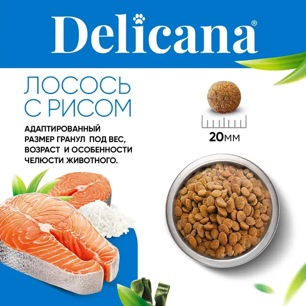 DELICANA Сухой корм для взрослых собак крупных пород Лосось с рисом 15кг