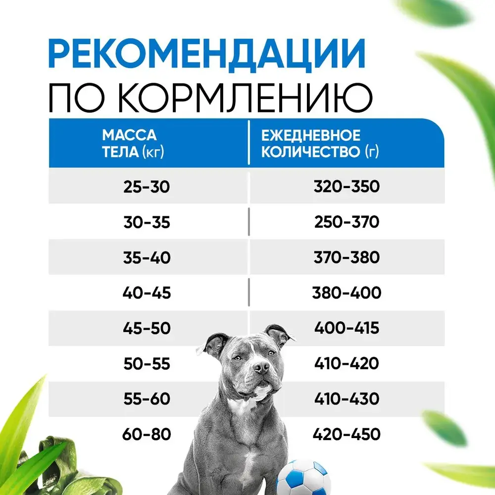 DELICANA Сухой корм для взрослых собак крупных пород Лосось с рисом 15кг