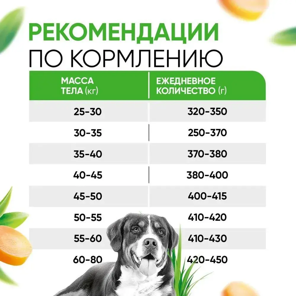 DELICANA Сухой корм для взрослых собак крупных пород Ягненок с рисом 15кг