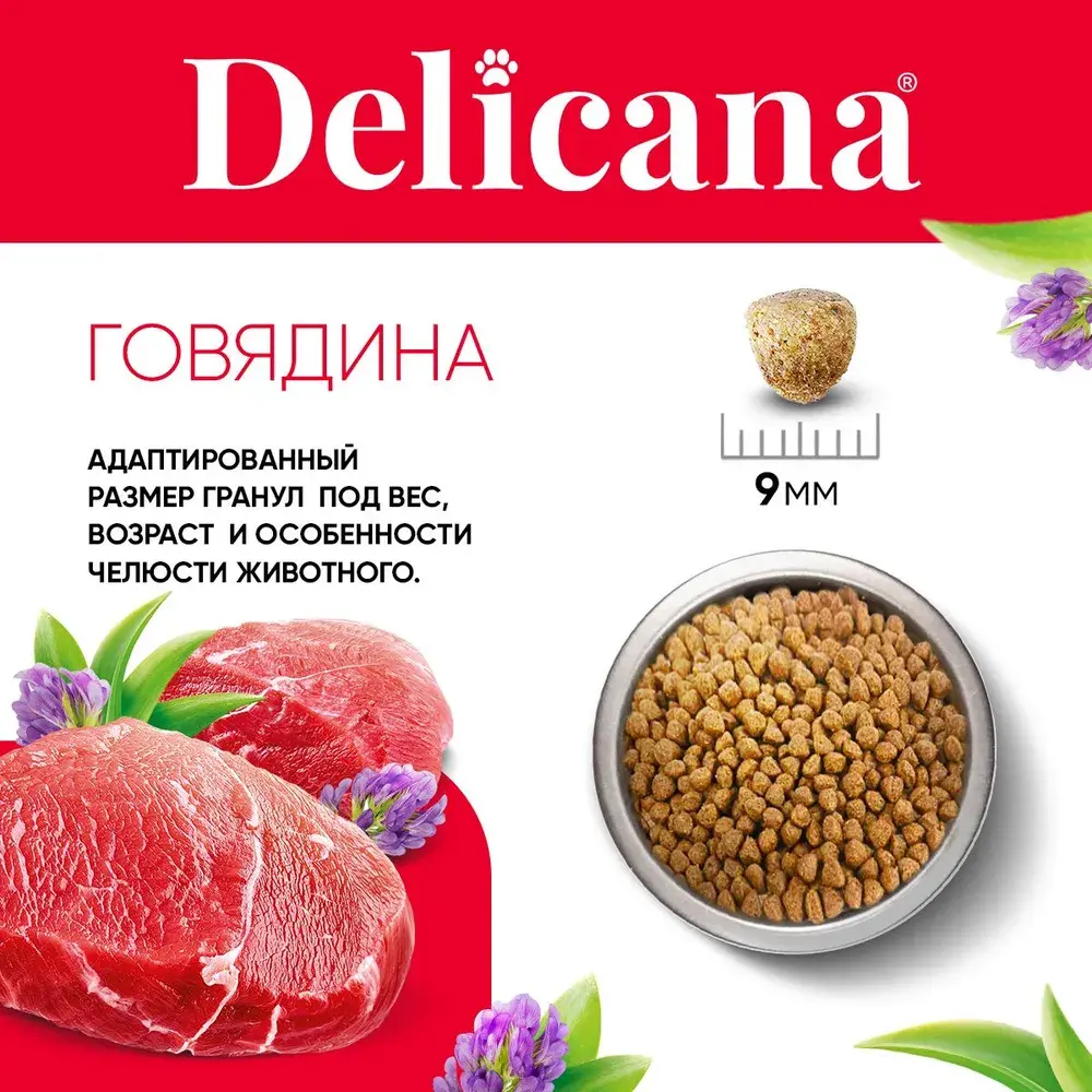 DELICANA Сухой корм для взрослых собак мелких пород Говядина 1,5кг