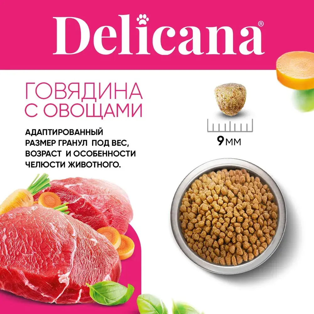 DELICANA Сухой корм для взрослых собак мелких пород Говядина с овощами 1,5кг