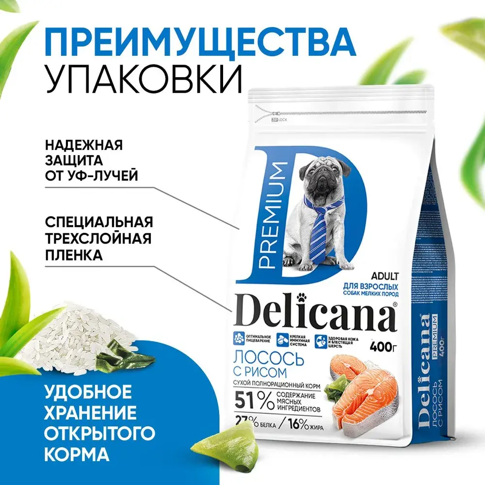 DELICANA Сухой корм для взрослых собак мелких пород Лосось с рисом 400г