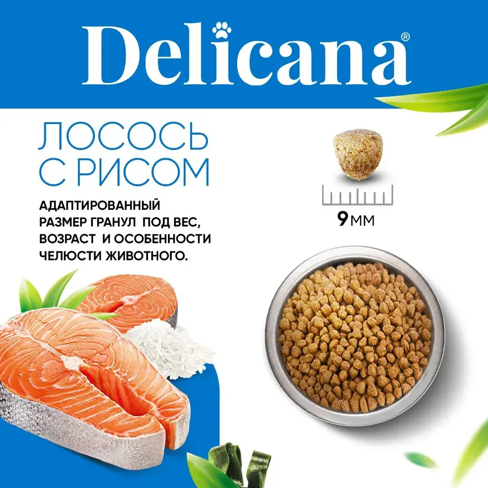 DELICANA Сухой корм для взрослых собак мелких пород Лосось с рисом 400г