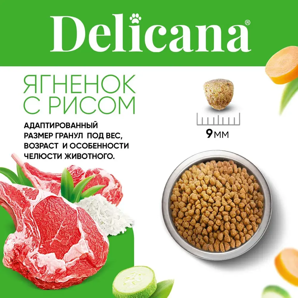 DELICANA Сухой корм для взрослых собак мелких пород Ягненок с рисом 1,5кг
