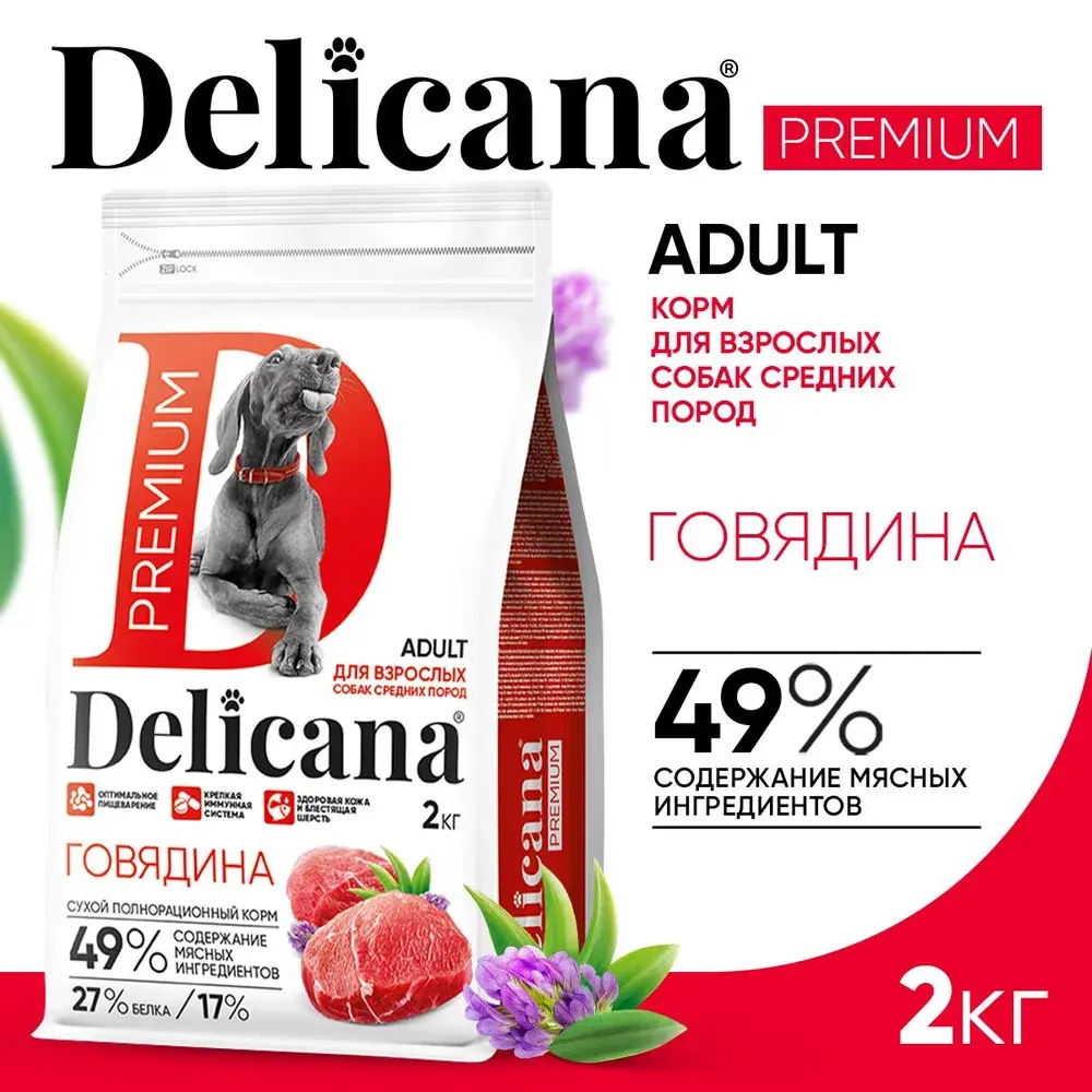 DELICANA Сухой корм для взрослых собак средних пород Говядина 2кг