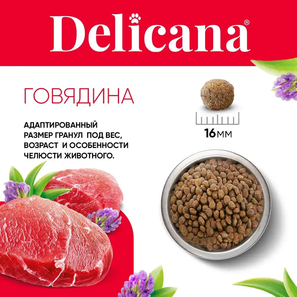 DELICANA Сухой корм для взрослых собак средних пород Говядина 2кг