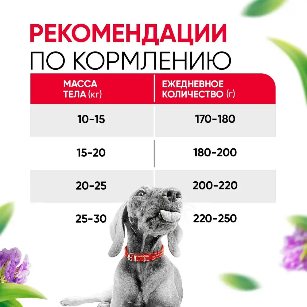 DELICANA Сухой корм для взрослых собак средних пород Говядина 2кг