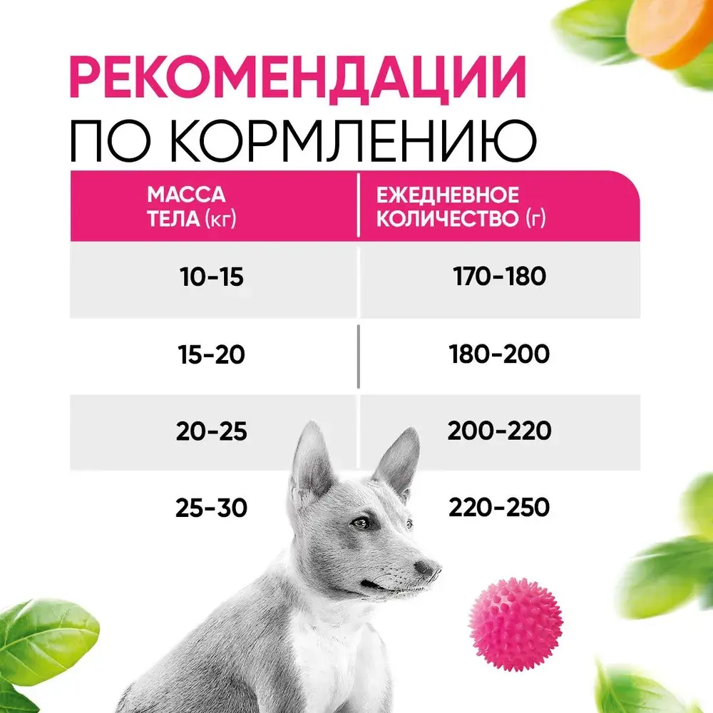 DELICANA Сухой корм для взрослых собак средних пород Говядина с овощами 15кг