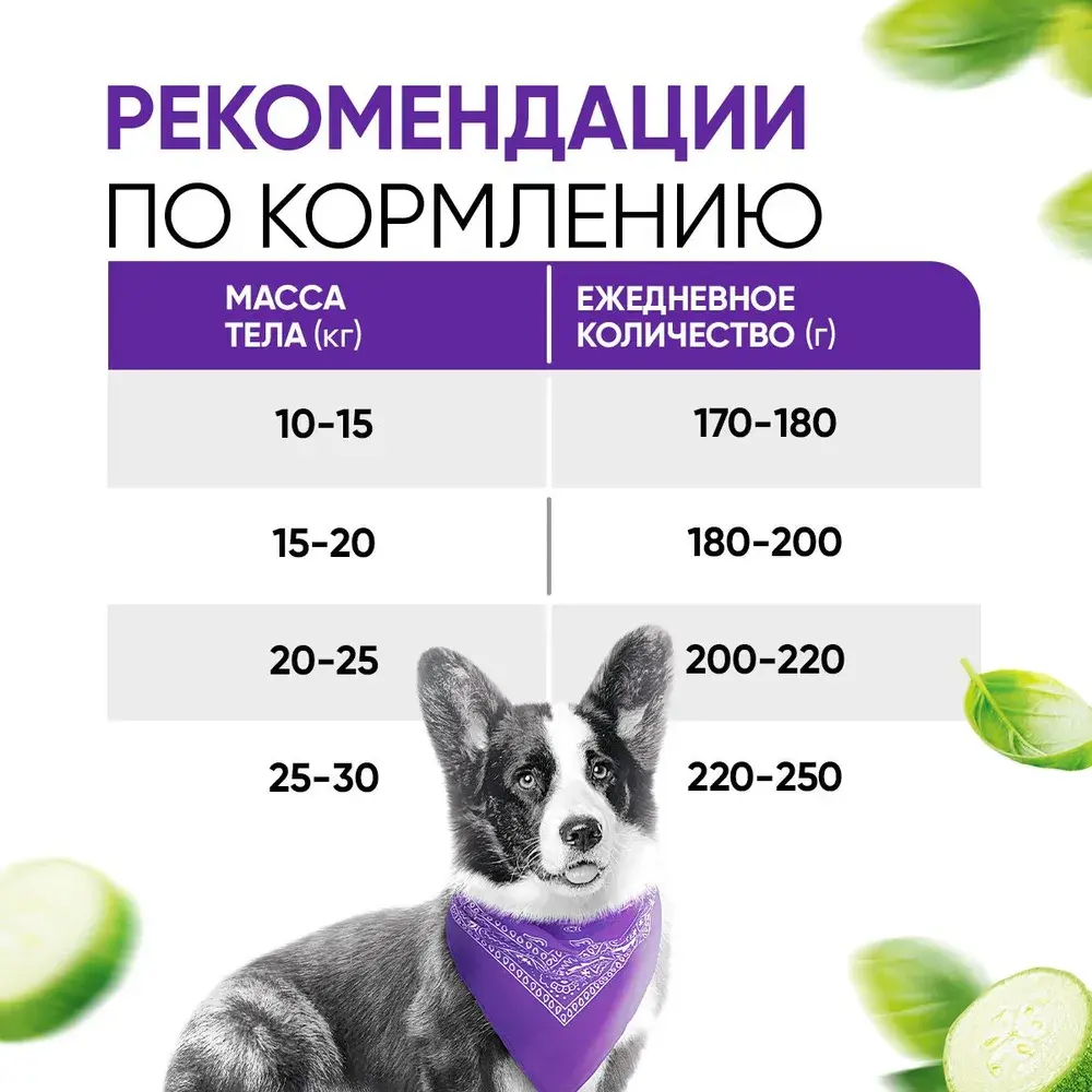 DELICANA Сухой корм для взрослых собак средних пород Индейка с овощами 2кг
