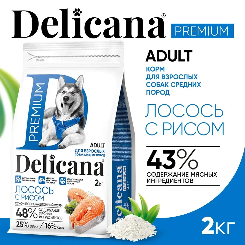 DELICANA Сухой корм для взрослых собак средних пород Лосось с рисом 2кг