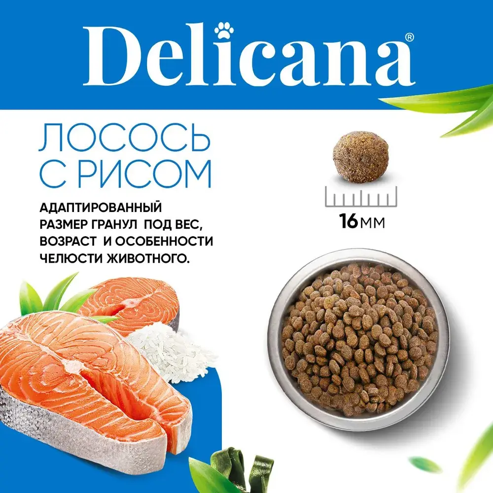 DELICANA Сухой корм для взрослых собак средних пород Лосось с рисом 15кг
