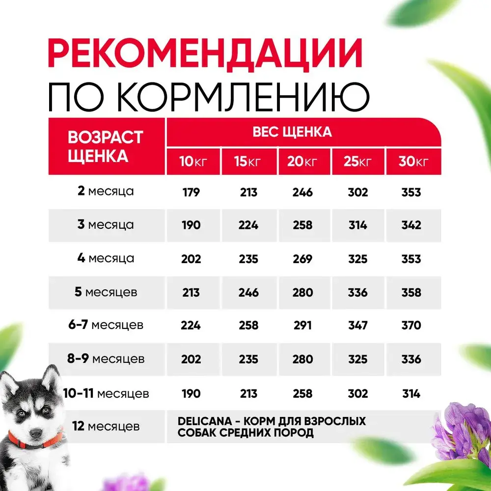 DELICANA Сухой корм для щенков средних пород Говядина 12кг