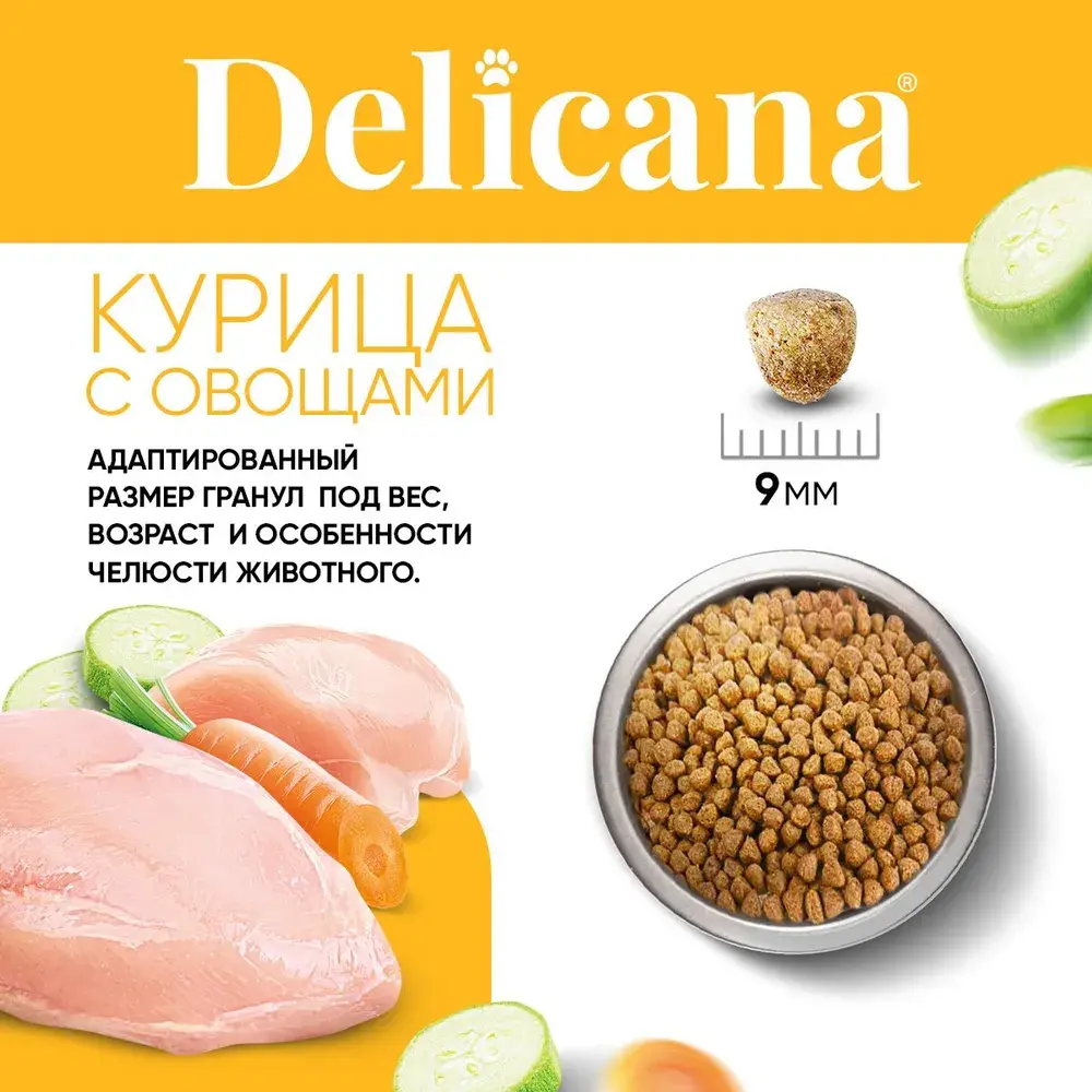 DELICANA Сухой корм для взрослых собак мелких пород Курица с овощами 8кг