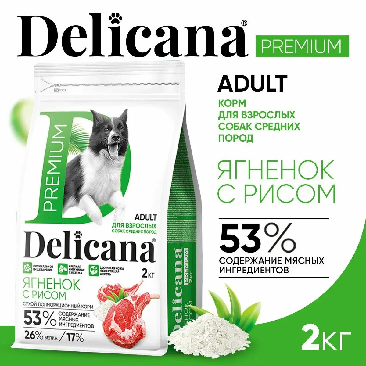 DELICANA Сухой корм для взрослых собак средних пород Ягненок с рисом 2кг