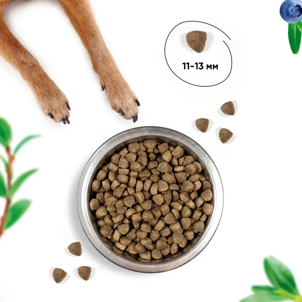 MeatGarden BASIC PUPPY & JUNIOR MEDIUM & MAXI Cухой корм для щенков средних и крупных пород с ягненком и черникой 8кг