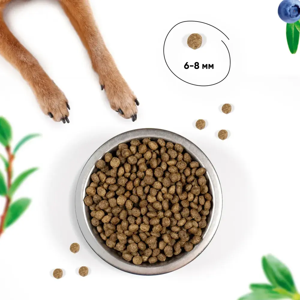 MeatGarden BASIC PUPPY & JUNIOR MINI Cухой корм для щенков мелких пород с ягненком и черникой 8кг