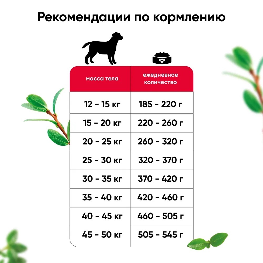 MeatGarden PROPHYLACTIC MEDIUM & MAXI Cухой корм для собак средних и крупных пород, склонных к аллергиям, с индейкой и гречкой 2кг
