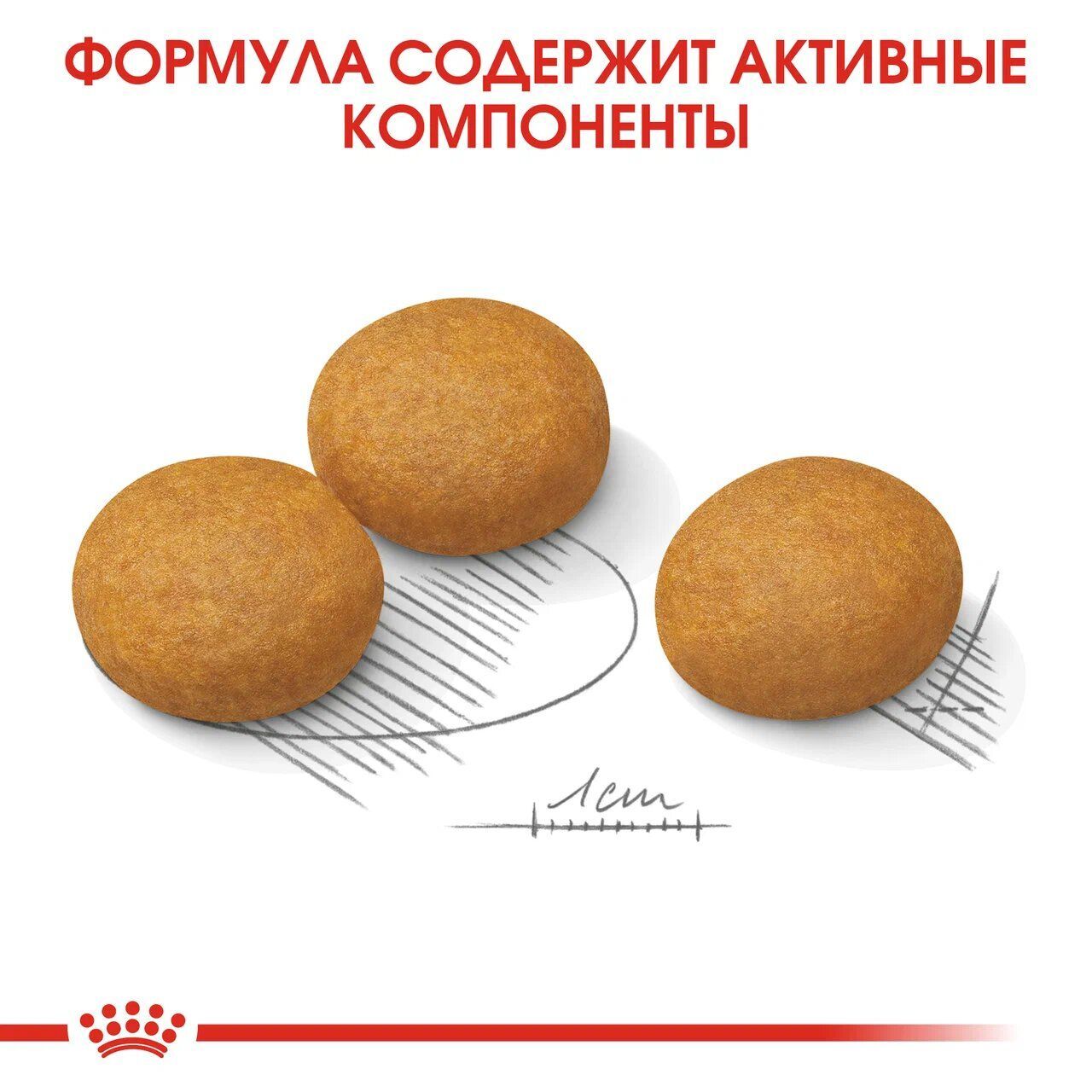 ROYAL CANIN MAXI Dermacomfort Cухой корм для собак крупных пород при раздражении и зуде из-за чувствительности кожи 10кг