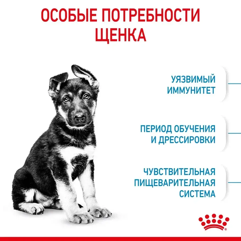 ROYAL CANIN MAXI Puppy Сухой корм для щенков крупных пород до 15 месяцев 15кг