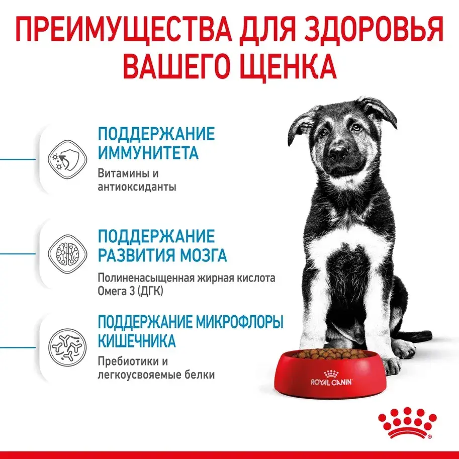 ROYAL CANIN MAXI Puppy Сухой корм для щенков крупных пород до 15 месяцев 15кг