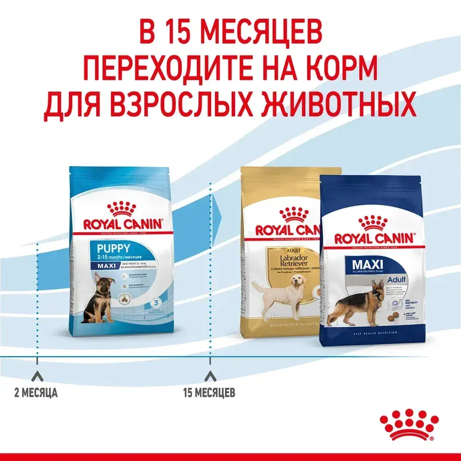 ROYAL CANIN MAXI Puppy Сухой корм для щенков крупных пород до 15 месяцев 15кг