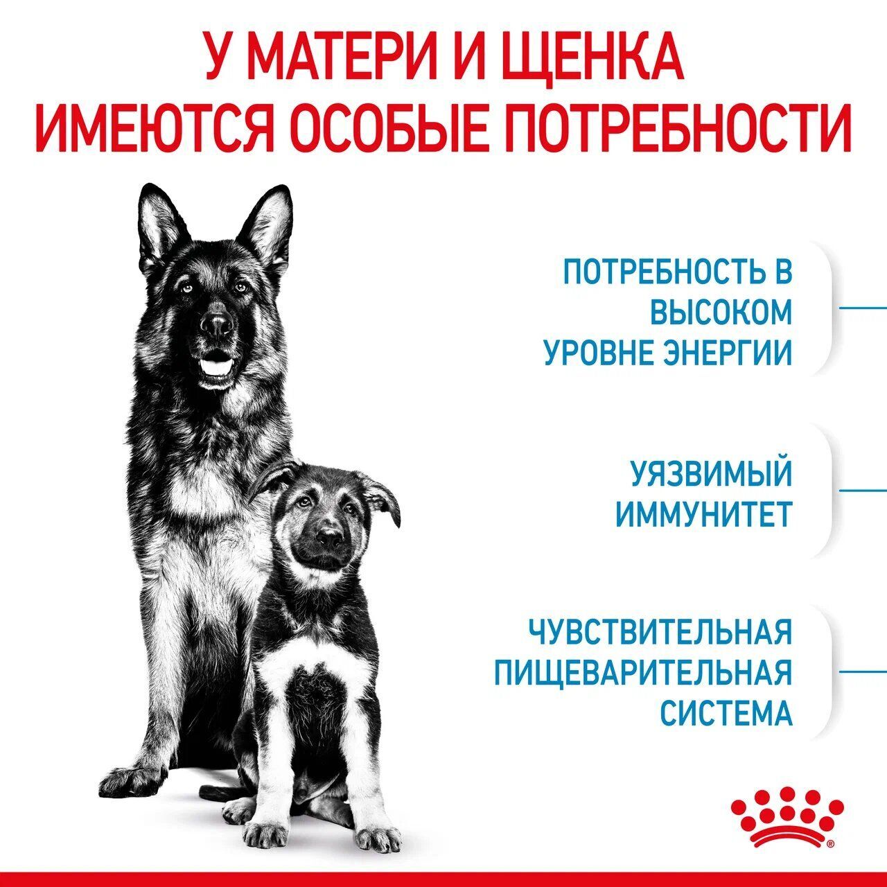ROYAL CANIN MAXI Starter Mother&Babydog Сухой корм для щенков крупных пород до 2 мес,  беременных и кормящих собак крупных пород 15кг