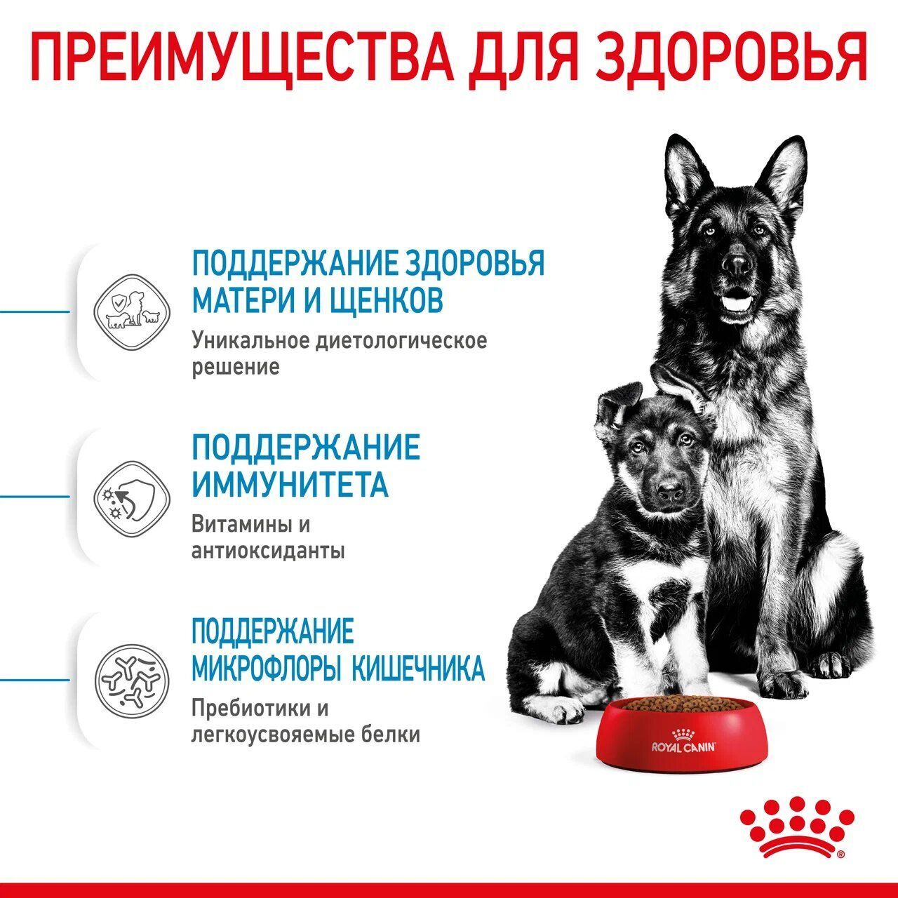 ROYAL CANIN MAXI Starter Mother&Babydog Сухой корм для щенков крупных пород до 2 мес,  беременных и кормящих собак крупных пород 15кг