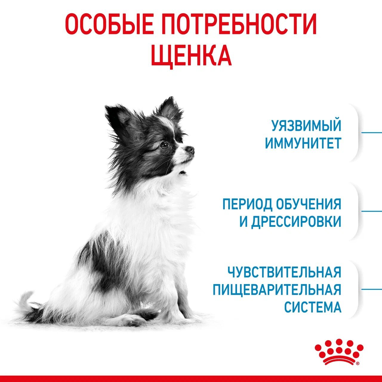 ROYAL CANIN X-Small Puppy Сухой корм для щенков миниатюрных пород 1,5кг