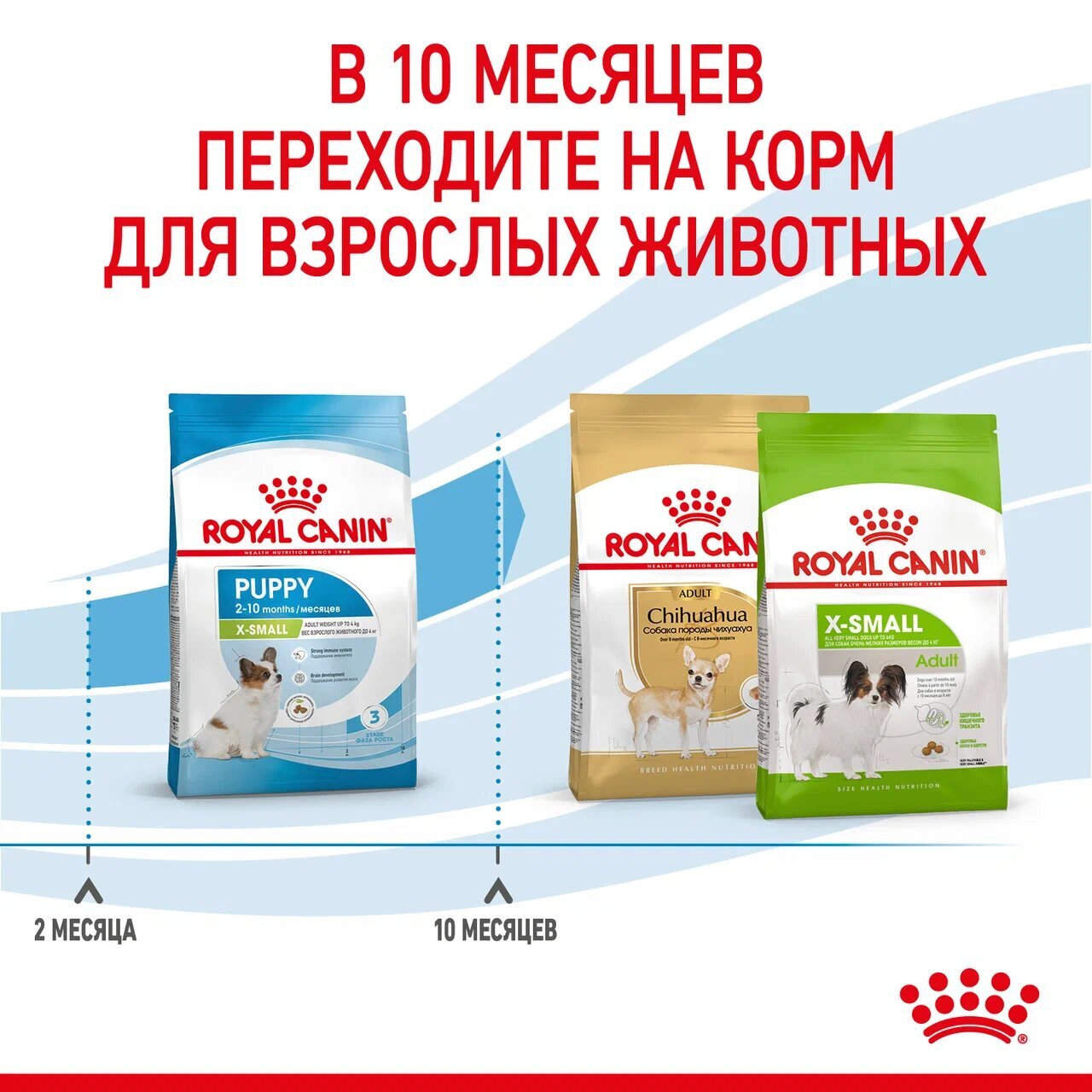 ROYAL CANIN X-Small Puppy Сухой корм для щенков миниатюрных пород 1,5кг