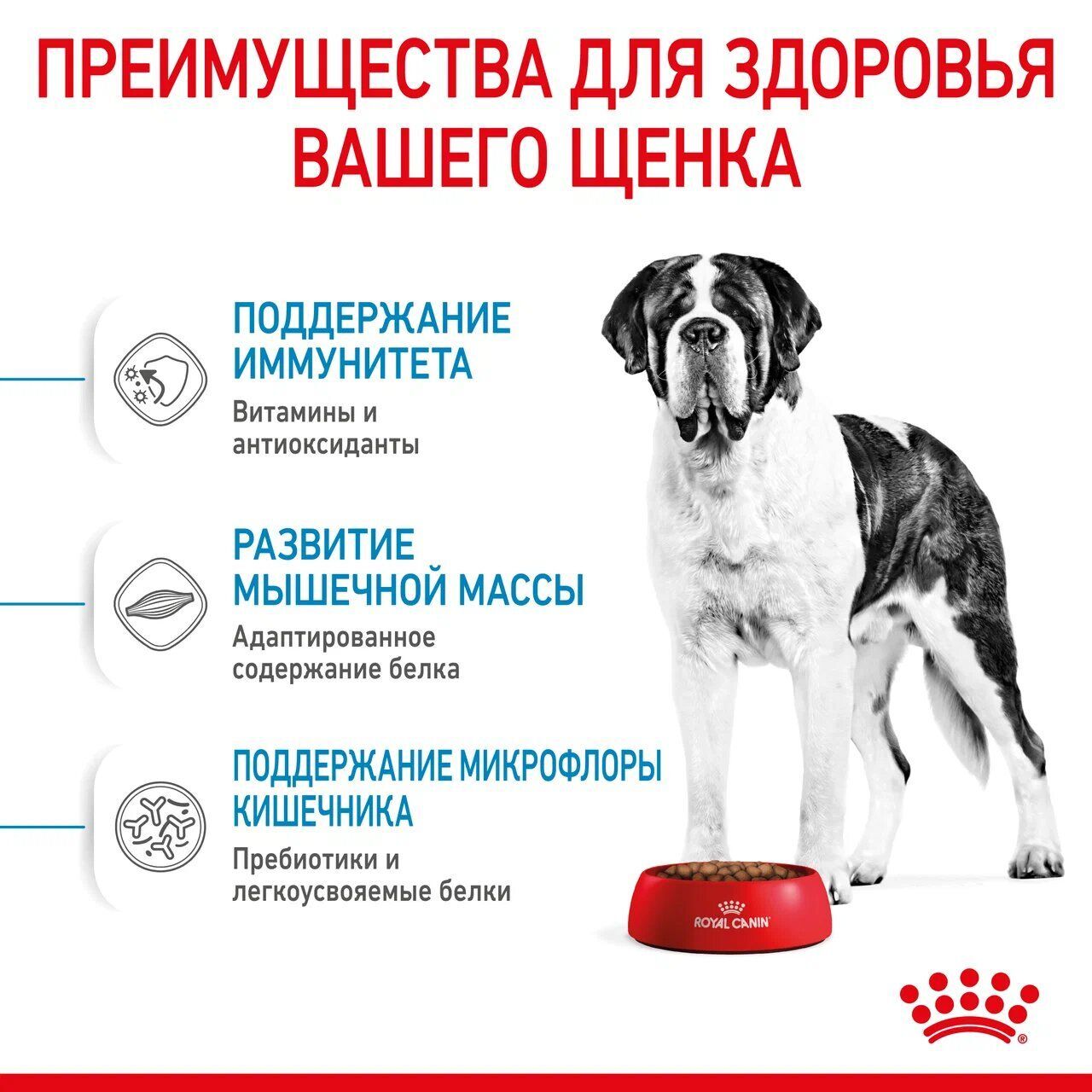 ROYAL CANIN GIANT Junior Сухой корм для щенков гигантских пород в возрасте от 8 до 18/24 мес. 3.5кг
