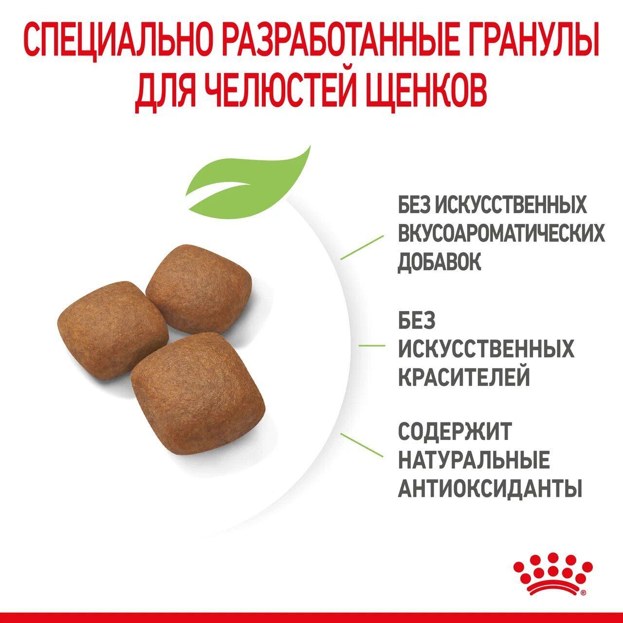 ROYAL CANIN GIANT Junior Сухой корм для щенков гигантских пород в возрасте от 8 до 18/24 мес. 3.5кг