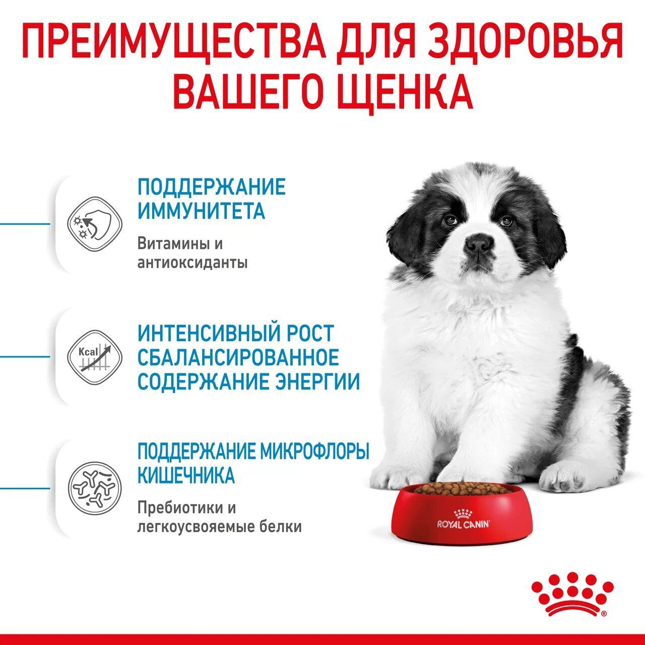 ROYAL CANIN GIANT Puppy Сухой корм для щенков гигантских пород в возрасте до 8 месяцев 3.5кг