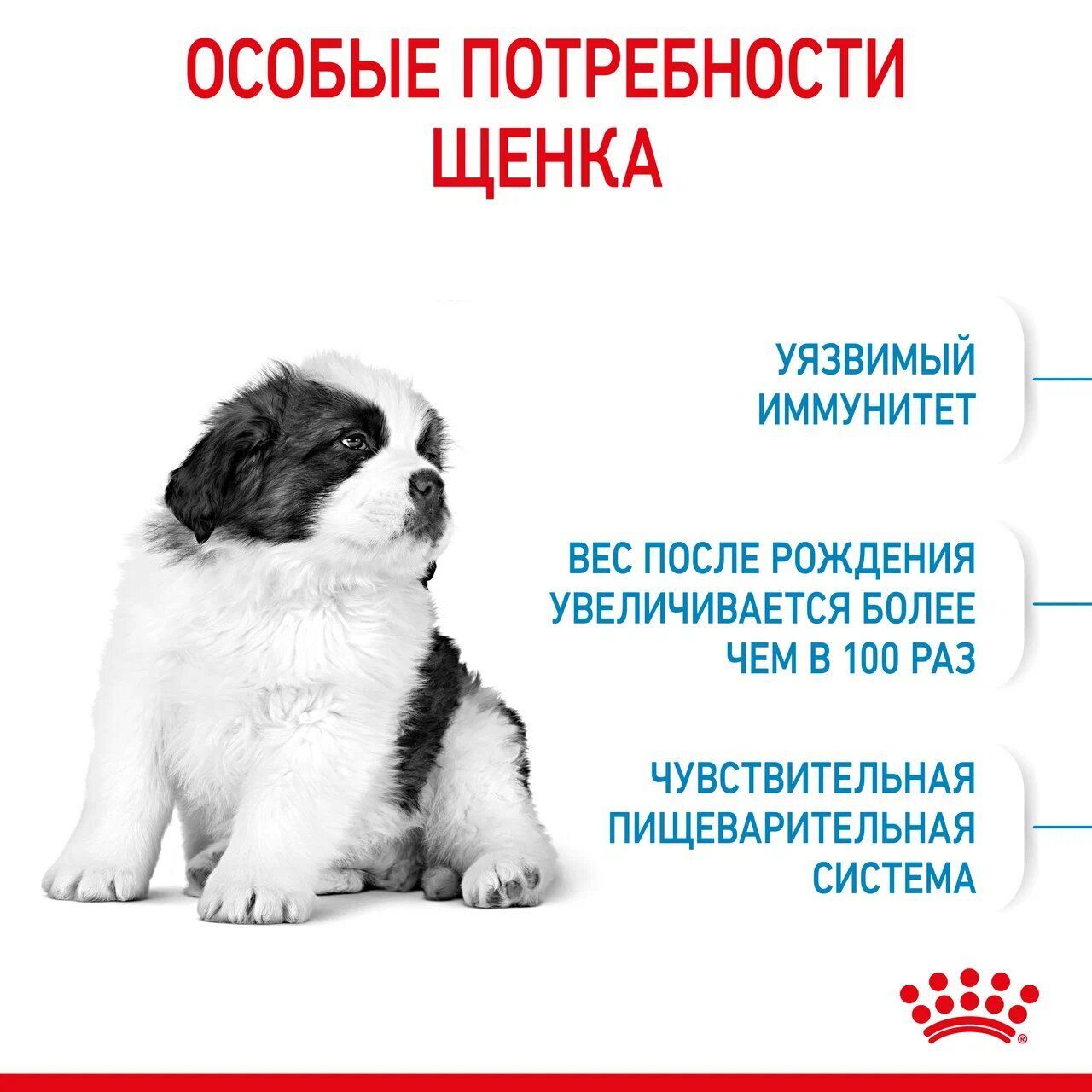 ROYAL CANIN GIANT Puppy Сухой корм для щенков гигантских пород в возрасте до 8 месяцев 3.5кг