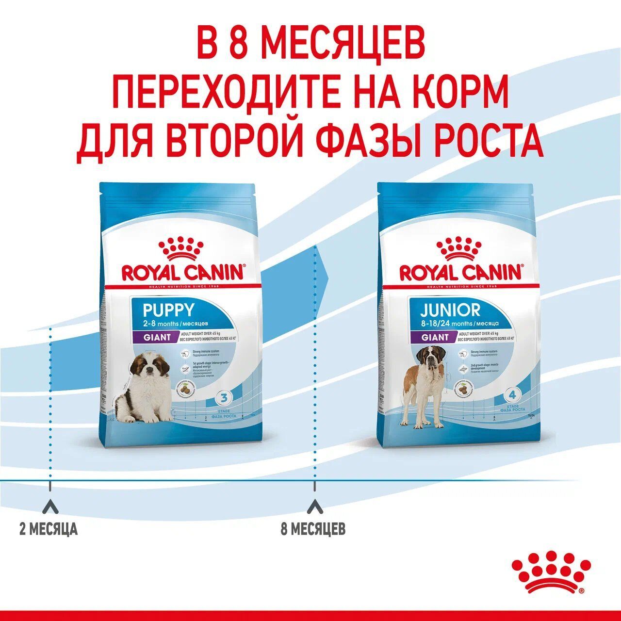 ROYAL CANIN GIANT Puppy Сухой корм для щенков гигантских пород в возрасте до 8 месяцев 3.5кг