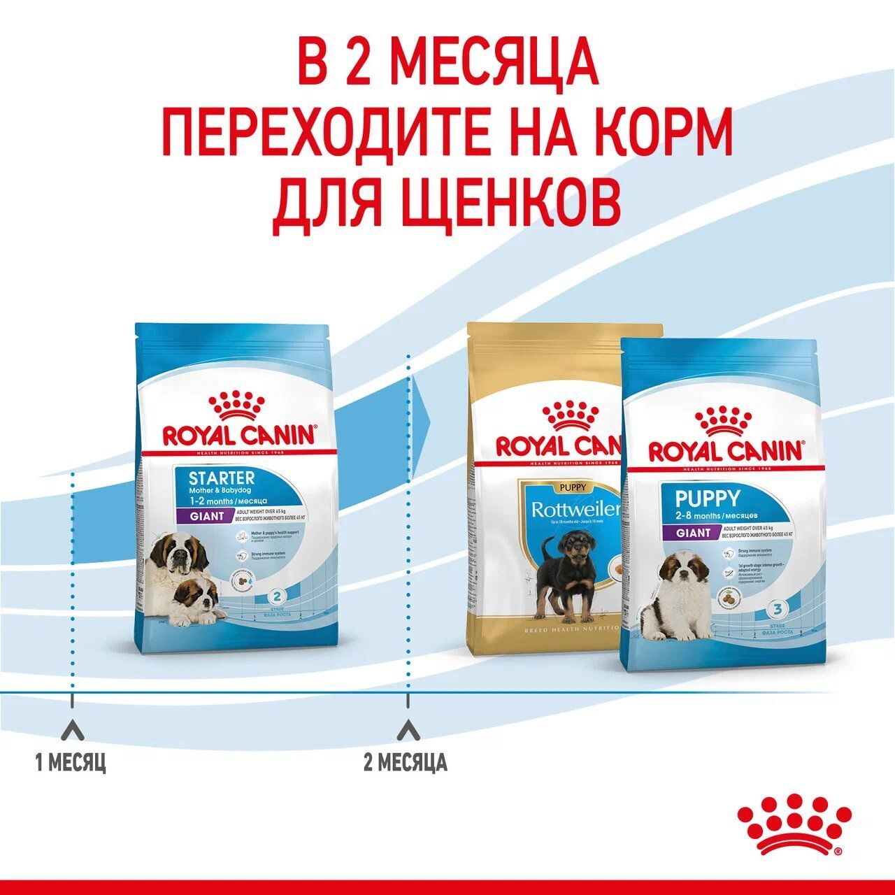 ROYAL CANIN GIANT Starter Mother & Babydog Сухой корм для щенков гигантских пород до 2 мес, беременных и кормящих собак гигантских пород  15кг