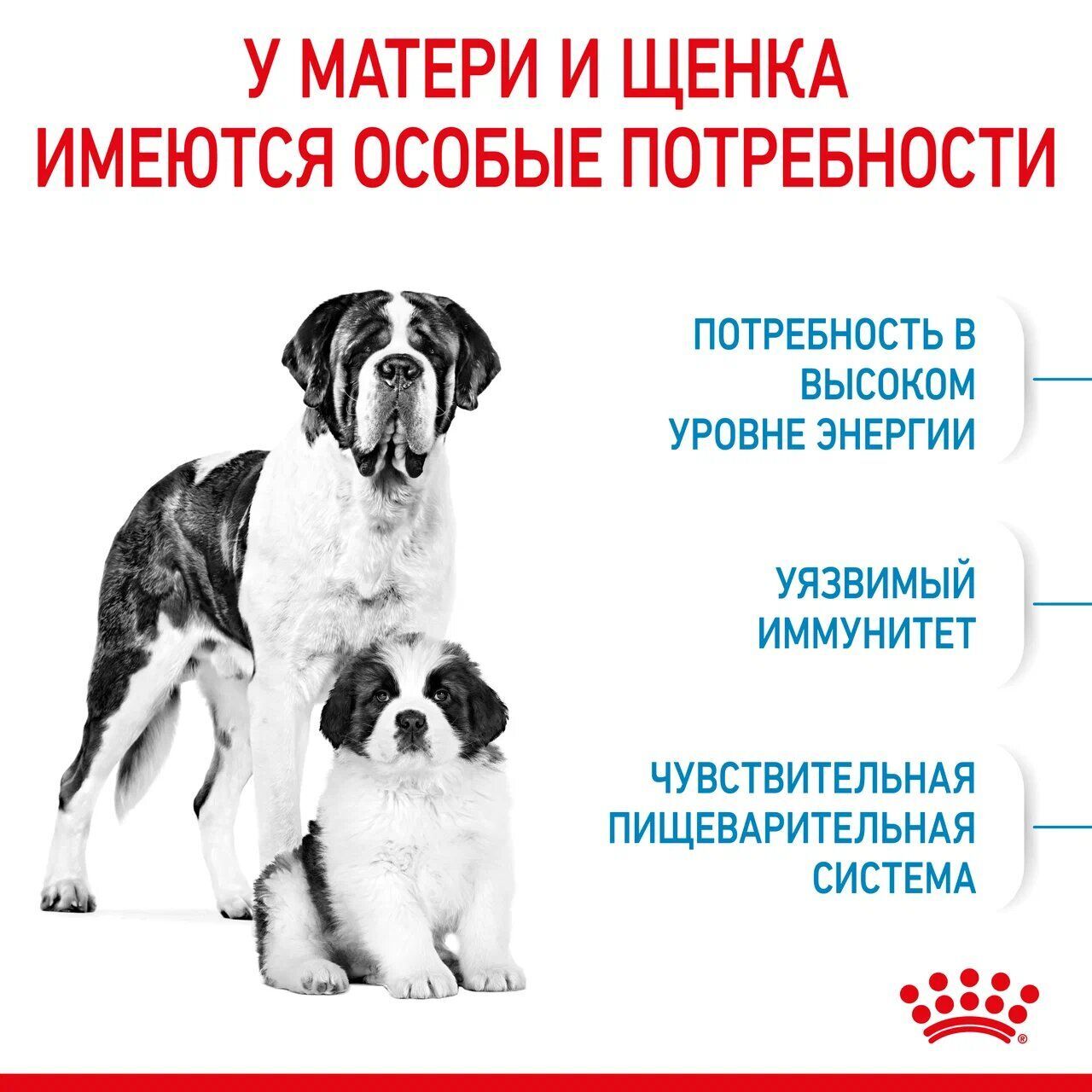 ROYAL CANIN GIANT Starter Mother & Babydog Сухой корм для щенков гигантских пород до 2 мес, беременных и кормящих собак гигантских пород 4кг