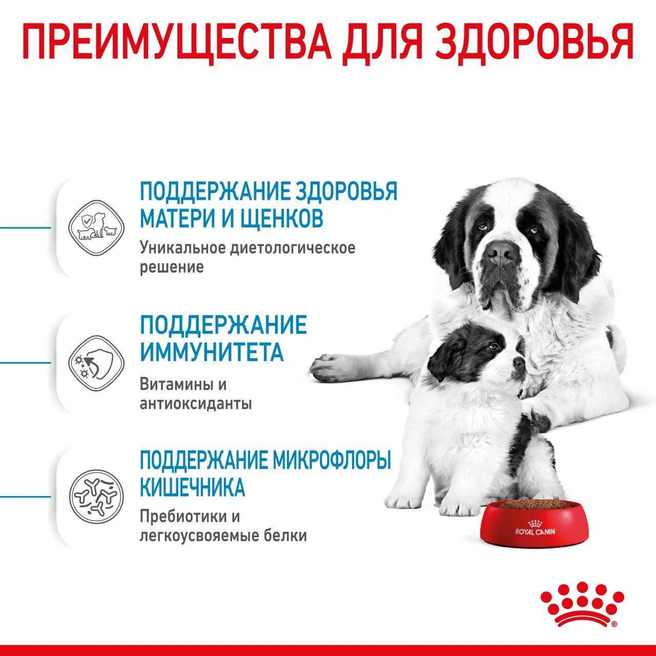 ROYAL CANIN GIANT Starter Mother & Babydog Сухой корм для щенков гигантских пород до 2 мес, беременных и кормящих собак гигантских пород  15кг