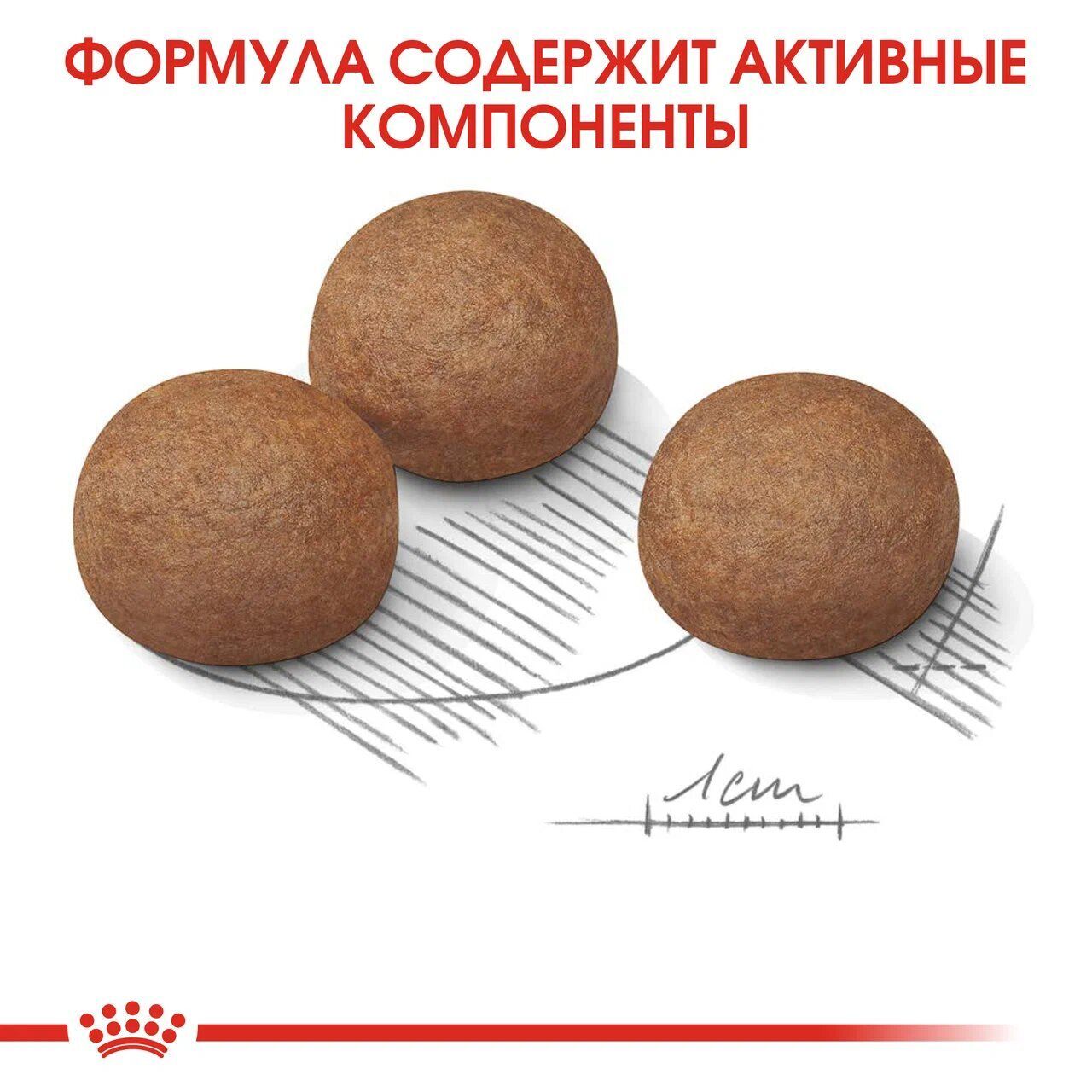 ROYAL CANIN MAXI Degestive care Сухой корм для крупных собак с чувствительной пищеварительной системой 12кг