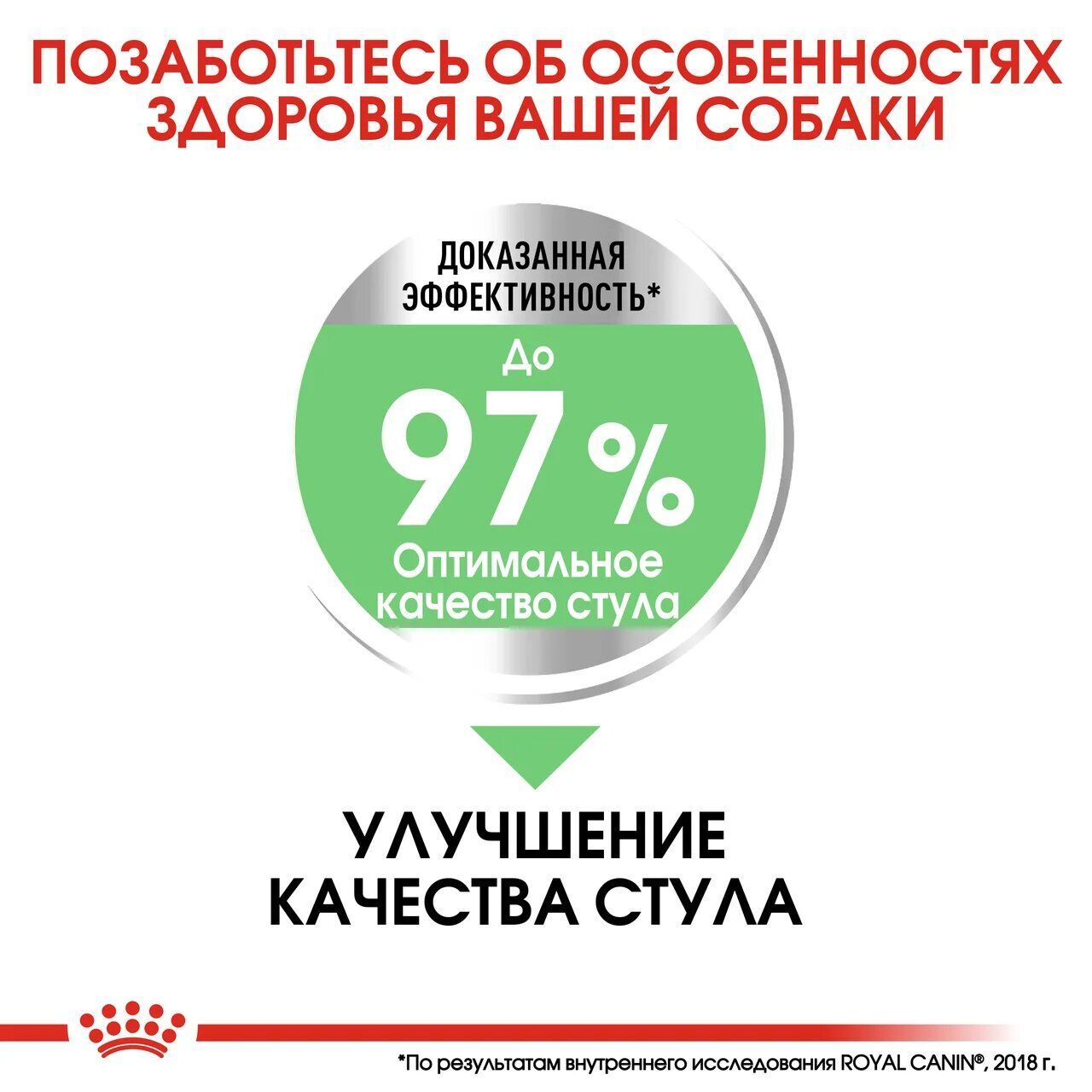 ROYAL CANIN MAXI Degestive care Сухой корм для крупных собак с чувствительной пищеварительной системой 12кг