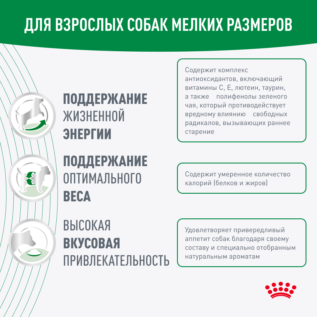 ROYAL CANIN MINI Adult 8+ Сухой корм для взрослых собак мелких пород от 8 лет 2кг