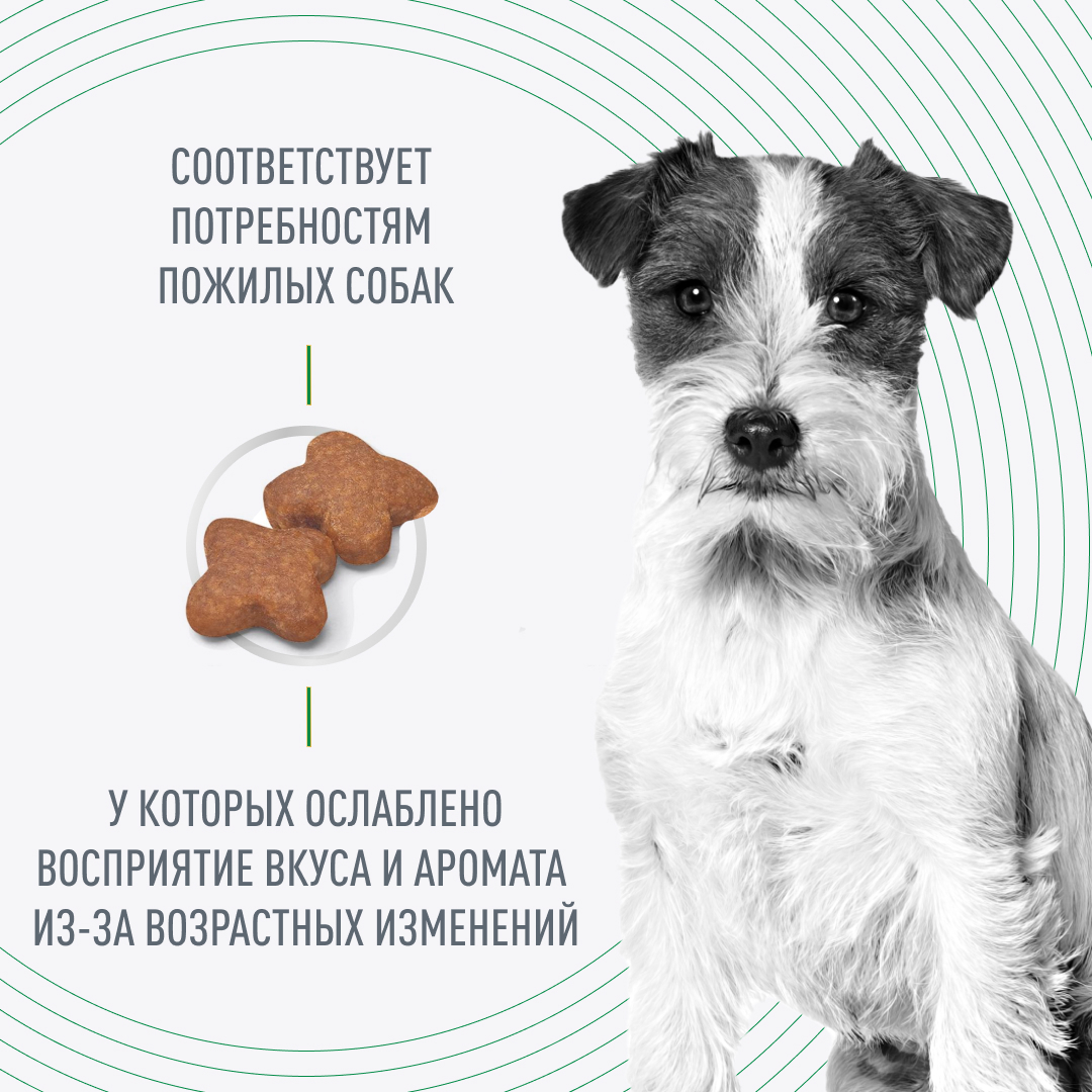 ROYAL CANIN MINI Adult 8+ Сухой корм для взрослых собак мелких пород от 8 лет 2кг